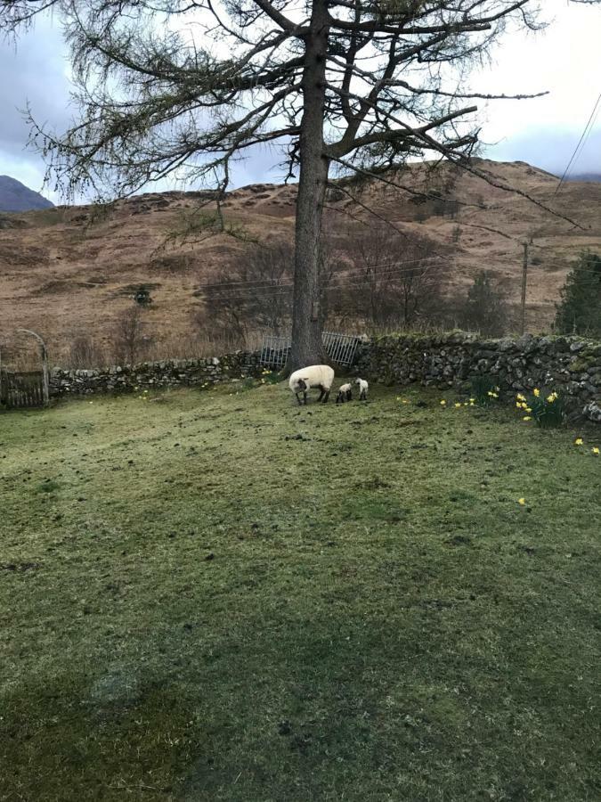 Garrison Of Inversnaid Farm With Hot Tub Exterior foto